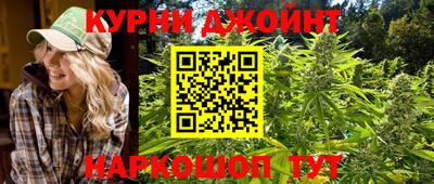 стафф Дубна