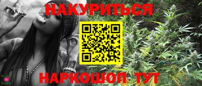 стафф Дубна