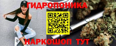 стафф Дубна