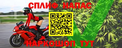 стафф Дубна