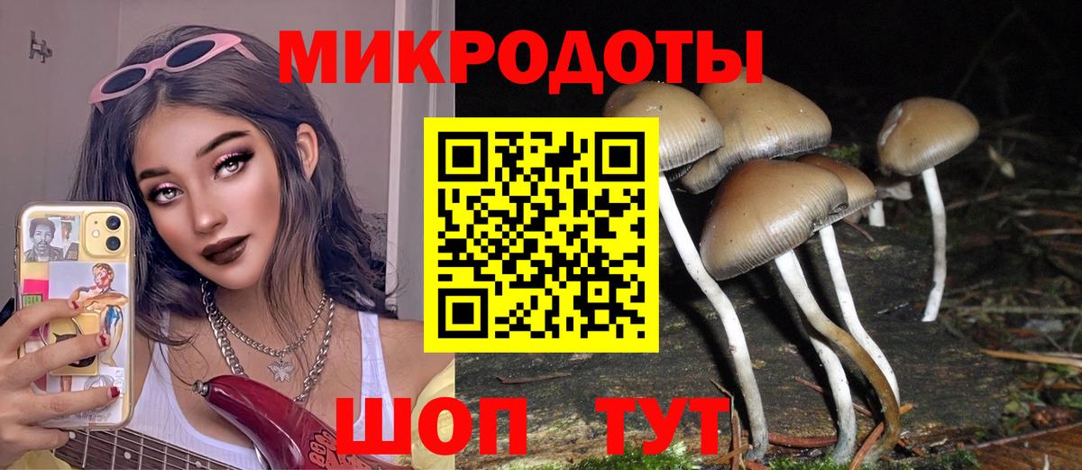 Галлюциногенные грибы Magic Shrooms Москва