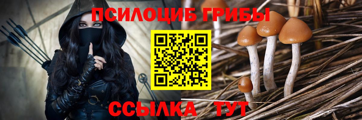 Псилоцибиновые грибы Psilocybine cubensis  Псилоцибиновые грибы мицелий  Москва  Вход с VPN 